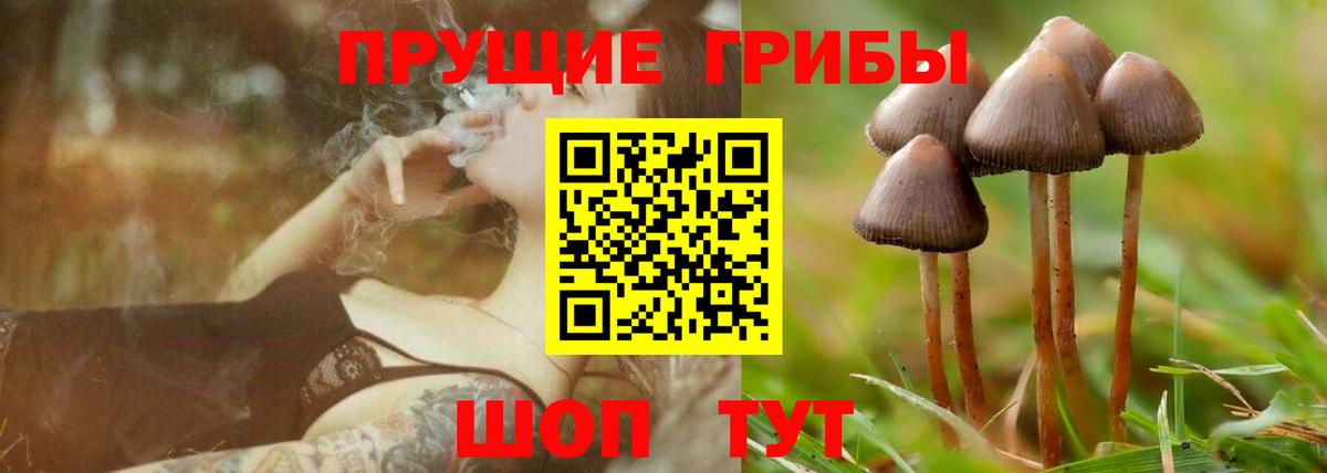 Галлюциногенные грибы мицелий Сунжа